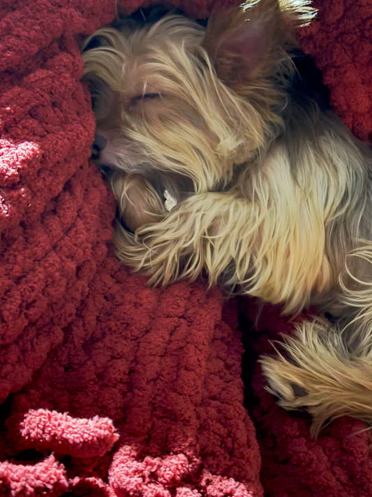 Dog Cozy Cuddle Blanket & Cats too!